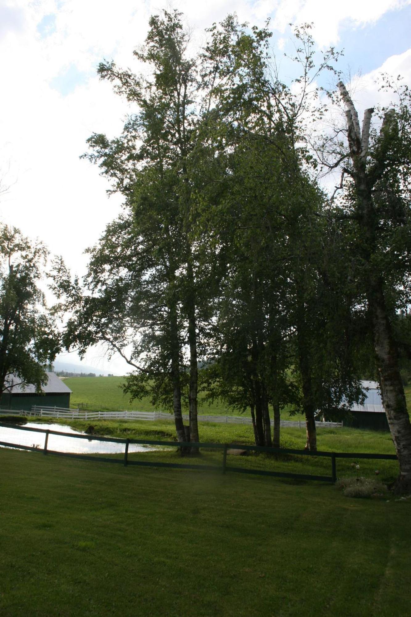 Dunphy'S Bed And Breakfast Parson Exterior foto